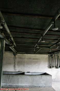 IMG_ (10828)